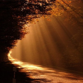 Логотип @sledovat_istine - Следовать Истине