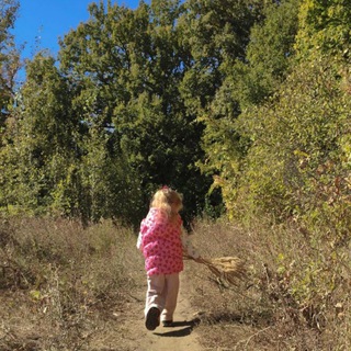 Логотип @sledyizavasilkom - Следуй за Васильком🌸