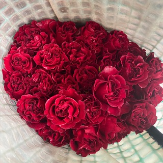 Логотип @slfmgyz1wxhhmzqy - ЦВЕТЫ ОПТОМ ИЗ ЭКВАДОРА