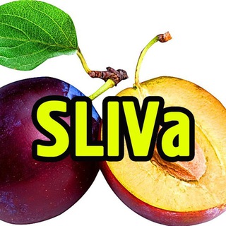 Логотип @slivatgs - SLIVa - Канал слива бизнес тем 🔥