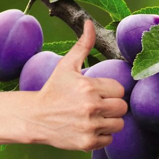 Логотип @slivbizmoney - Сливы платных курсов по заработку