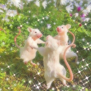 Логотип @slivi_ege_2021 - Сливы ЕГЭ | Умскул | Вебиум | BuboUnicus | Стобалльный | Умскул русский | Умскул биология | Эля Смит