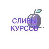 Логотип @slivka421 - Slivka | БЕСПЛАТНЫЕ КУРСЫ