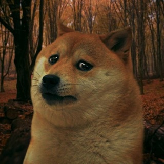 Логотип @slivki_chan - 3vChan. Сливы[Юмор, мемы, анекдоты]