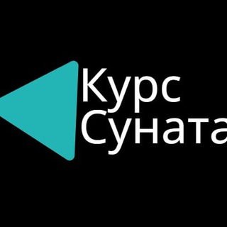 Логотип @slivkursaasunata - Курс Суната. Заработок с блогерами.