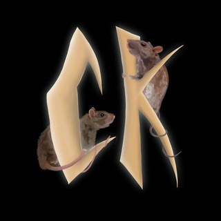 Логотип @slivnayakrysaaaaaa - Сливная Крыса 🐀