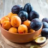 Логотип @slivochka0 - СЛИВЫ И АБРИКОСЫ