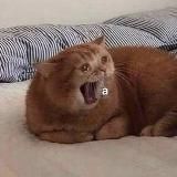 Логотип @slivochnie_88 - 50 Оттенков взаимопиара