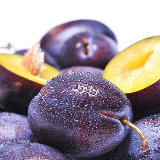 Логотип @slivv79 - 💡Вкусные СЛИВы 7️⃣9️⃣