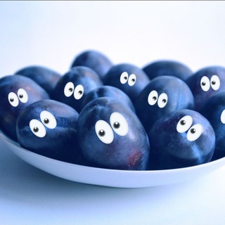 Логотип @slivyfromrynk - Сливы с рынка