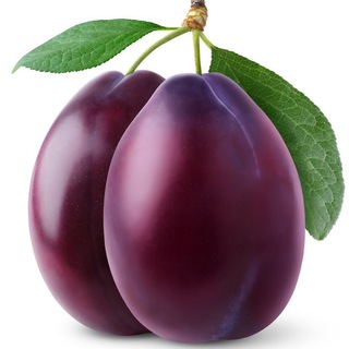 Логотип @slivytg2 - Сливы маркетинга