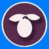 Сливы курсов