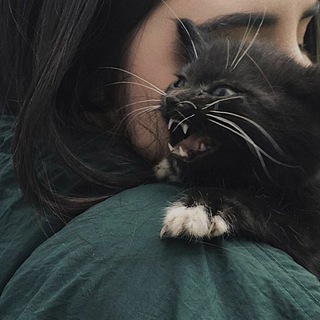 Логотип @slomaano_15 - _slomano_15