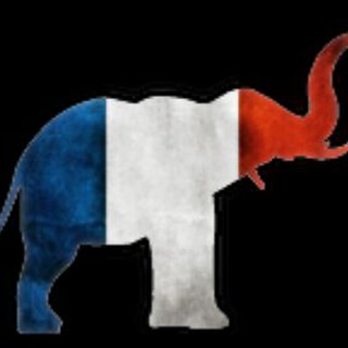 Логотип @slonfr - Slon