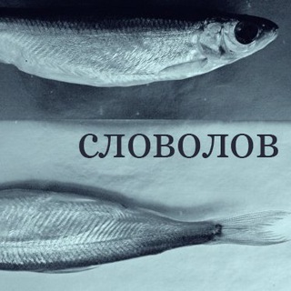 Логотип @slovolov - Словолов