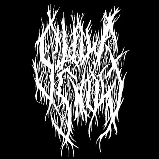 Логотип @slowsnowrecords - SlowSnowrecords