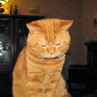 Логотип @sloznolink - хуй в сапогах