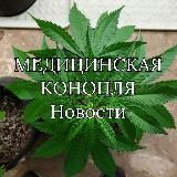 Логотип @slpharma - slpharma