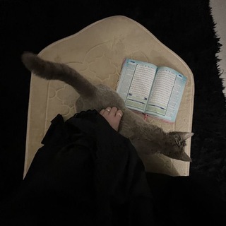 Логотип @sltvaaaaa - ☽