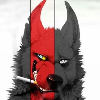 Логотип @sly_woif - Хитрый Волк