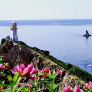 Логотип @sm_dv - Математики Приморья