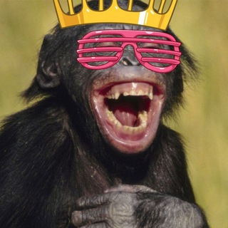 Логотип @smail404 - Смех продлевает жизнь!😂