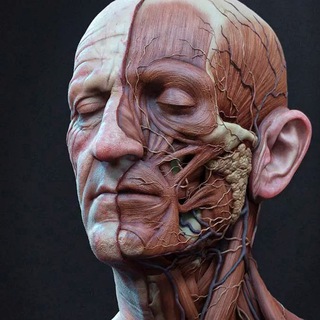 Логотип @small_talk_cosmo - Косметология