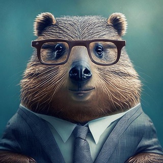 Логотип @smart_beaver_facts - Мудрый Бобр