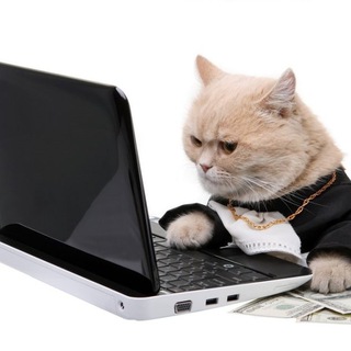 Логотип @smart_forex_trading - Форекс Трейдинг