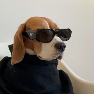 Логотип @smart_motivation - Духовный безумец | мотивация