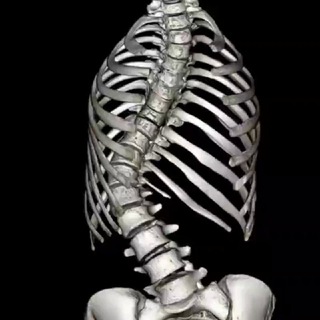 Логотип @smart_scoliosis - Всё о сколиозе от эксперта Ольги Буровой