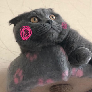 Логотип @smartandartchat - Smart and Art