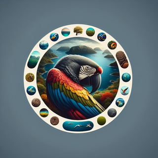 Логотип @smartyparrots - Умный попугай