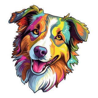 Логотип @smdogs - Собака может больше - блог кинолога🐕