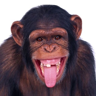 Логотип @smehology - Смехология