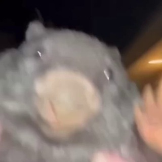 Логотип @smehoterapia0 - СМЕХОТЕРАПИЯ