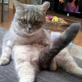 Логотип @smekhuyiochki - Смех и Точка