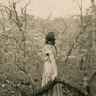 Логотип @smellmoonlight - smell of moonlight