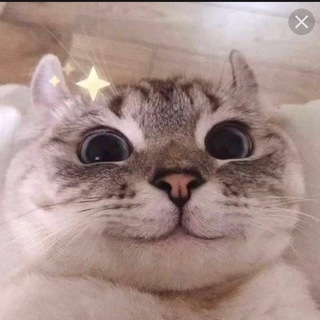 Логотип @smeshnoiitochka - Смешной и точка