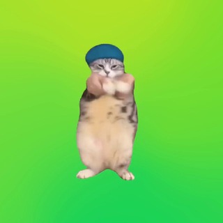 Логотип @smeshnoitochca - СМЕШНО И ТОЧКА 😂