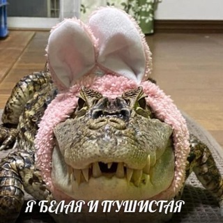 Логотип @smetankali - Эмоционально-рациональная мясорубка