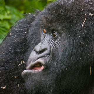 Логотип @smexin12 - НЕХВАТКА СМЕХА👾🤖