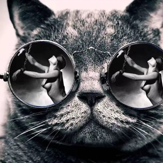 Логотип @smexoslez - Прикольный Юмор👍