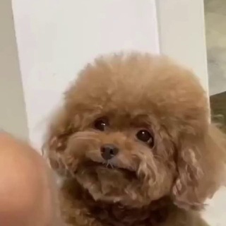 Логотип @smexyigrex - Смех и грех