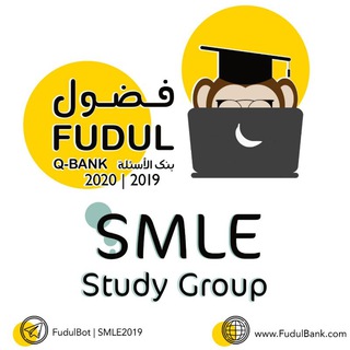 Логотип @smle2019 - SMLE (Study Group)