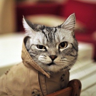 Логотип @smmtusachat - SMM-балаган