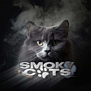 Логотип @smokes_cats - 𝐒𝐦𝐨𝐤𝐲.𝐜𝐚𝐭𝐬🐾