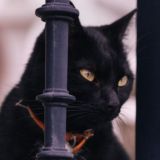 Логотип @smokevestasartt - ПЕРЕЕЗД (ЗАКРЫТ)