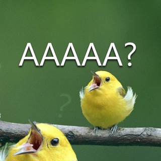 Логотип @smol_birb_feeder - Bird watching works both ways