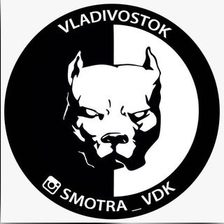 Логотип @smotravdk - Smotra_VL